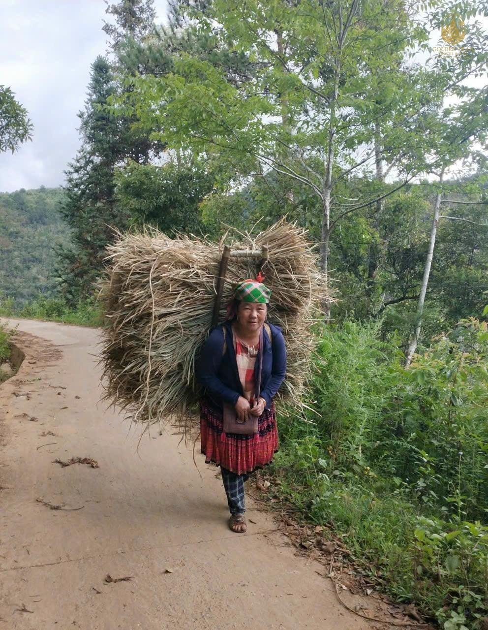 The Ultimate Guide to Vietnam Trekking Packages